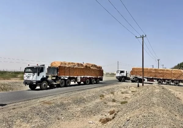 İHH, Sudan'a 15 Konteyner Yardım Malzemesi Gönderdi 1 İHH, Sudan’a 15 Konteyner Yardım Malzemesi Gönderdi