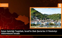 İİT, İsrail’in Batı Şeria’da 3 Filistinliyi öldürmesini kınadı