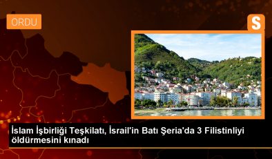 İİT, İsrail’in Batı Şeria’da 3 Filistinliyi öldürmesini kınadı
