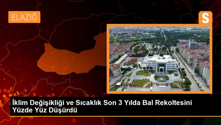 İklim Değişikliği ve Sıcaklık Son 3 Yılda Bal Rekoltesini Yüzde Yüz Düşürdü 1 İklim Değişikliği ve Sıcaklık Son 3 Yılda Bal Rekoltesini Yüzde Yüz Düşürdü