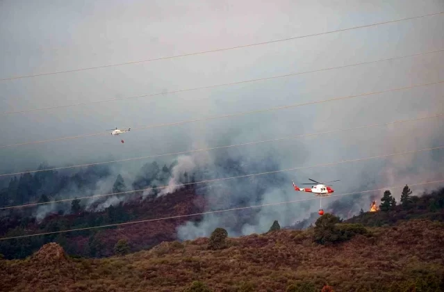 İspanya'nın Tenerife Adası'nda Orman Yangını: Bin 800 Hektarlık Alan Küle Döndü 1 İspanya’nın Tenerife Adası’nda Orman Yangını: Bin 800 Hektarlık Alan Küle Döndü
