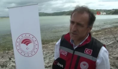 İstanbul’da göl ve göletlere 1 milyon 143 bin yavru balık bırakıldı