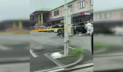 Japonya’daki Lan Tayfunu’nda yaralı sayısı 50’ye yükseldi