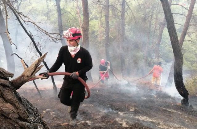 Kadıköy Belediyesi Çanakkale’deki Yangında Soğutma Çalışmalarına Destek Veriyor