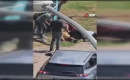 Kadıköy’de tasmasız köpek dehşeti kamerada