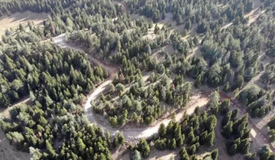 Kahramanmaraş Göksun’da 36 kilometrelik yeni orman yolu yapıldı