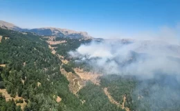Kahramanmaraş’ın Andırın ilçesinde orman yangınına müdahale