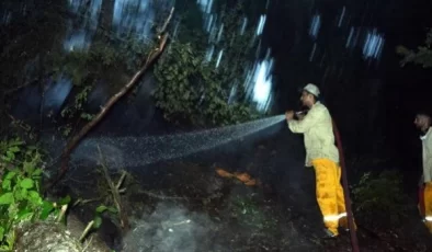 Kahramanmaraş’ta 20 Hektar Orman Yangını Kontrol Altına Alındı