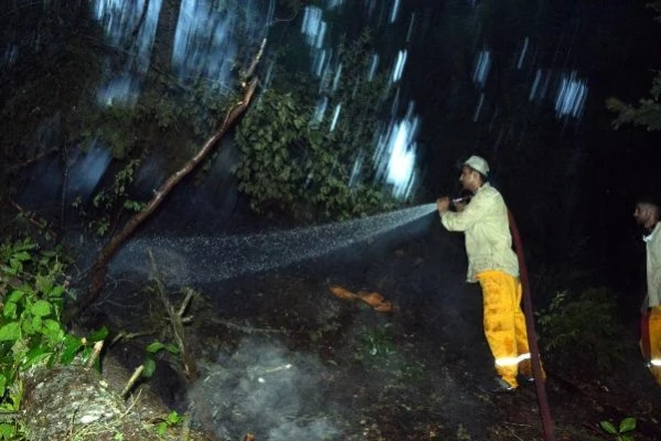 Kahramanmaraş’ta 20 Hektar Orman Yangını Kontrol Altına Alındı