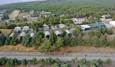 Kapıçam Keklik Üretim İstasyonu Deprem Sonrası Yeniden Faaliyete Geçti