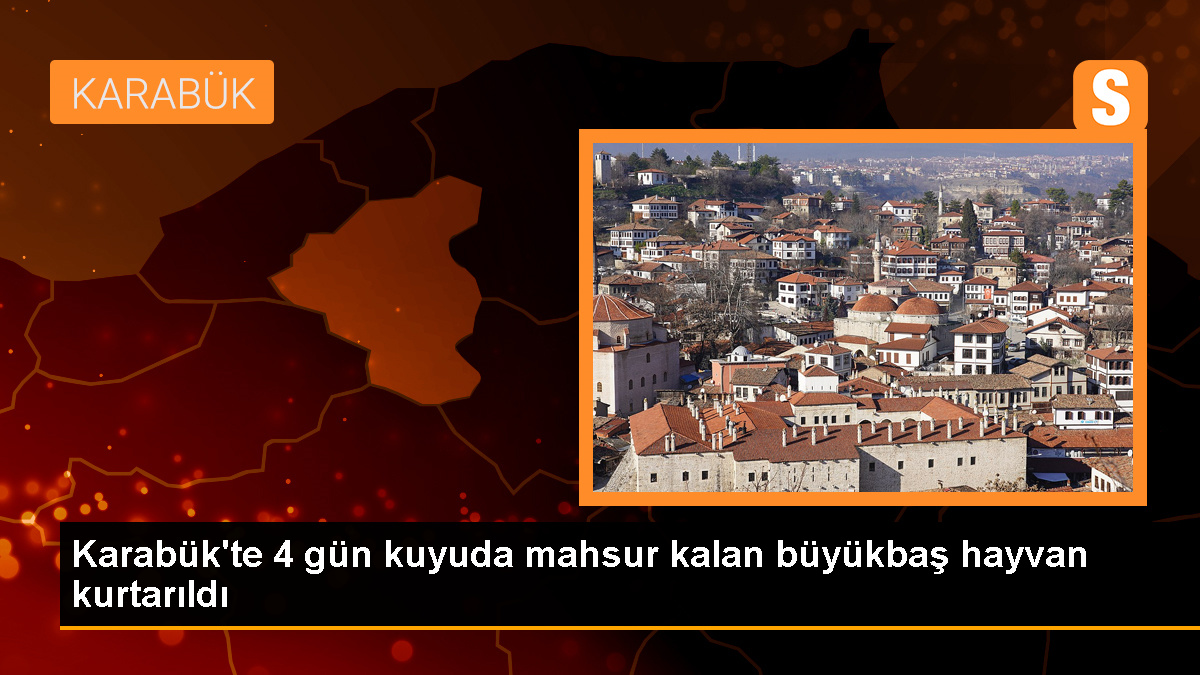 Karabük'te Mahsur Kalan Büyükbaş Hayvan Kurtarıldı