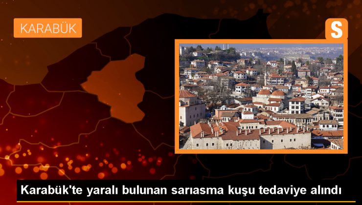 Karabük’te Yaralı Sarıasma Kuşu Rehabilite Edilerek Doğaya Salınacak