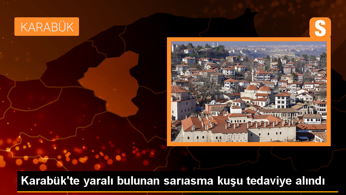 Karabük'te Yaralı Sarıasma Kuşu Rehabilite Edilerek Doğaya Salınacak