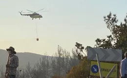 Karacabey’de çıkan yangın ormana sıçradı