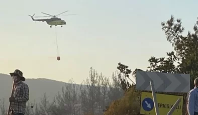 Karacabey’de çıkan yangın ormana sıçradı