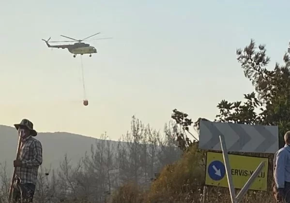 Karacabey’de çıkan yangın ormana sıçradı