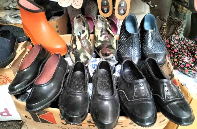 Karadeniz Bölgesi’nde Fındık Hasadında Kara Lastik Ayakkabılar Tercih Ediliyor