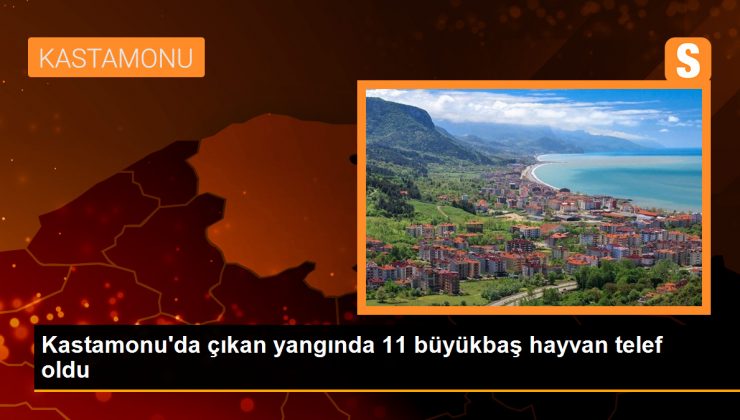 Kastamonu’da çıkan yangında 11 büyükbaş hayvan telef oldu