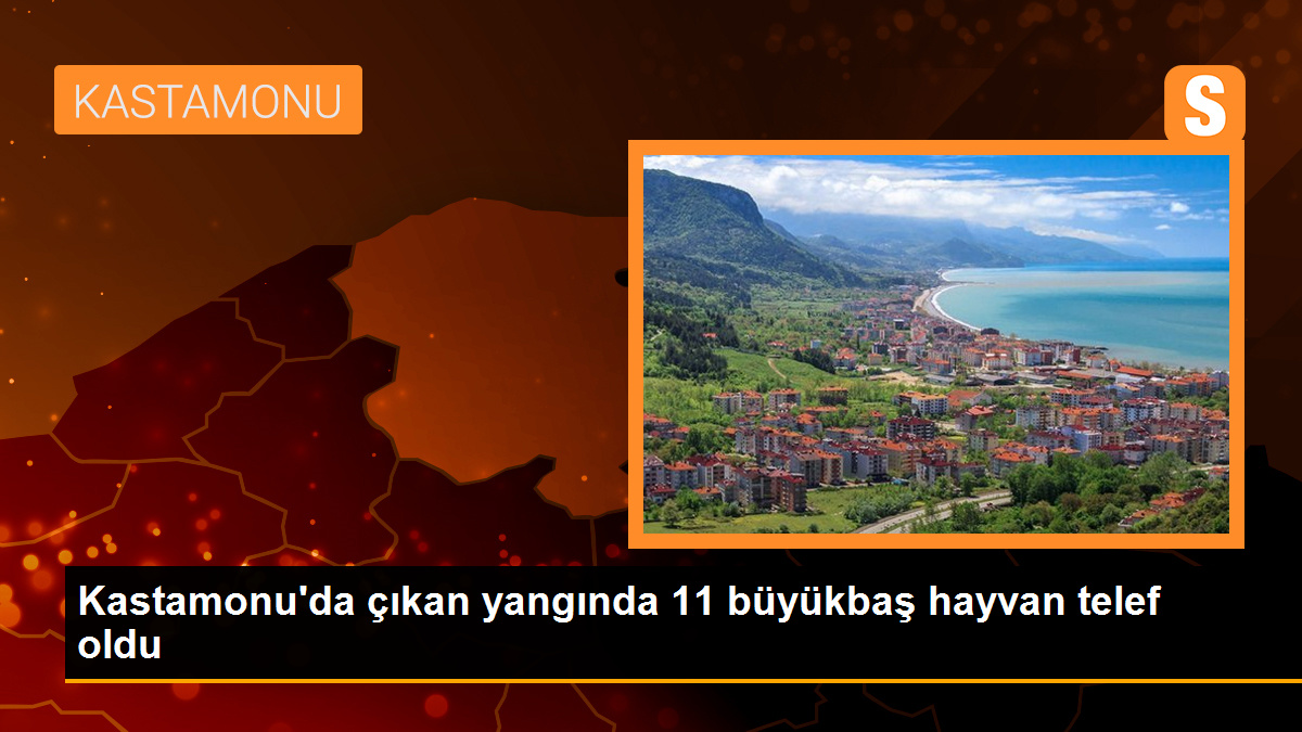 Kastamonu'da çıkan yangında 11 büyükbaş hayvan telef oldu
