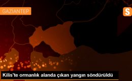 Kilis’te ormanlık alanda çıkan yangın söndürüldü