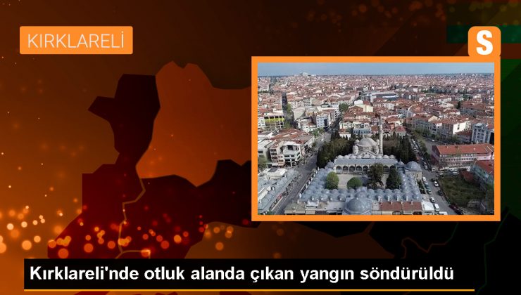 Kırklareli’nde otluk alanda çıkan yangın söndürüldü
