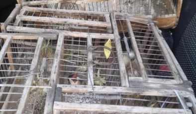 Kırşehir’de Yasak Saka Kuşu Avlayan 2 Kişiye Cezai İşlem Uygulandı