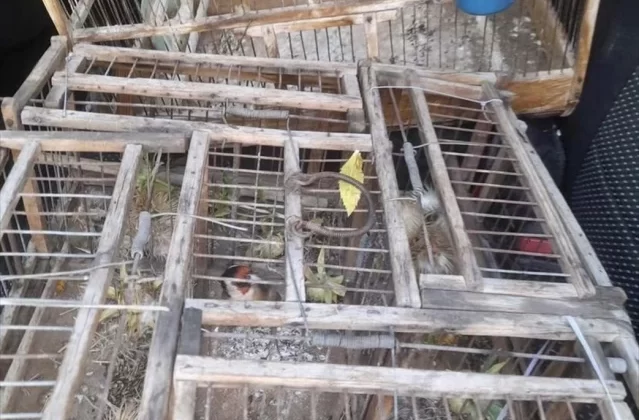 Kırşehir’de Yasak Saka Kuşu Avlayan 2 Kişiye Cezai İşlem Uygulandı