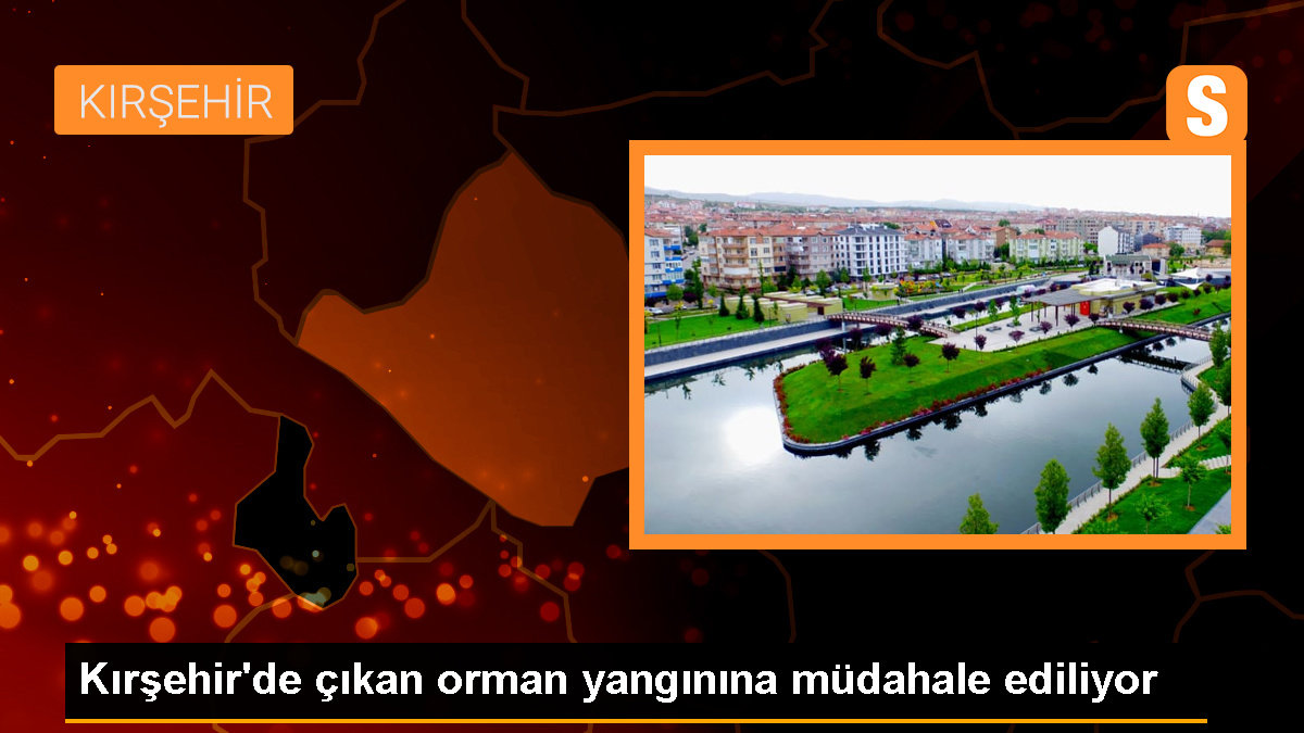Kırşehir'deki Orman Yangını Kontrol Altına Alınmaya Çalışılıyor