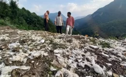 Kocaeli’de Ormanlık Alana Atık Bırakan Firmaya 812 Bin TL Cezası