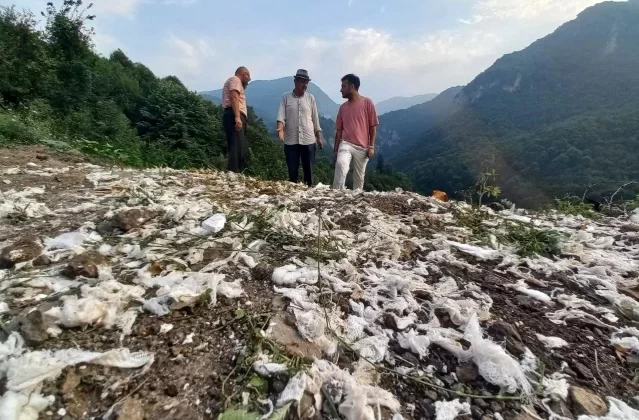 Kocaeli’de Ormanlık Alana Atık Bırakan Firmaya 812 Bin TL Cezası