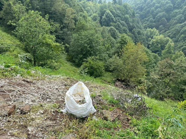 Kocaeli'de Ormanlık Alana Tıbbi Sarf Malzeme Döken Firmaya Cezai İşlem Uygulandı