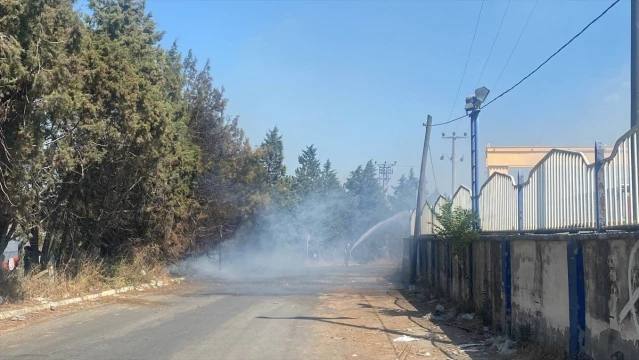 Kocaeli’de otluk alanda çıkan ve ormana sıçrama ihtimali bulunan yangına müdahale ediliyor