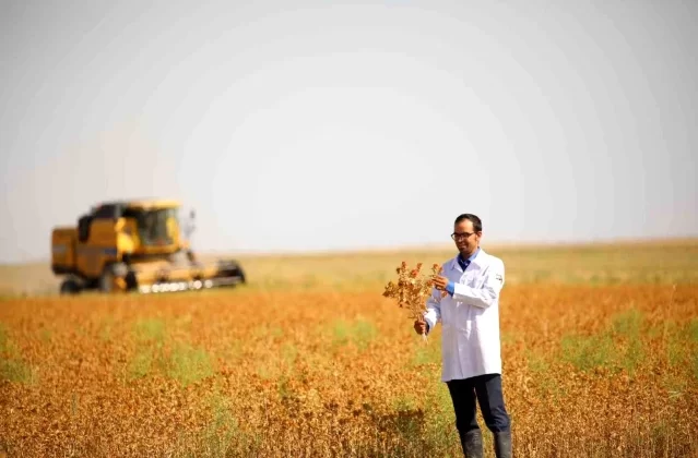 Konya Büyükşehir Belediyesi Atıl Araziyi Tarıma Kazandırıyor 1 Konya Büyükşehir Belediyesi Atıl Araziyi Tarıma Kazandırıyor