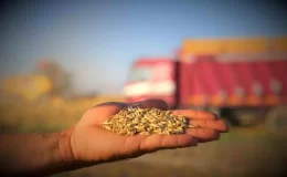 Konya Ovası Bereketli Bir Hasat Dönemi Geçirdi