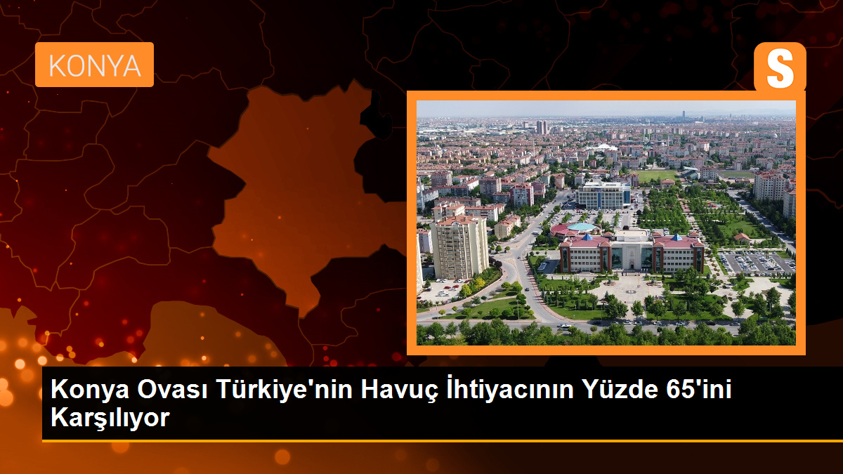 Konya Ovası Türkiye'nin Havuç İhtiyacının Yüzde 65'ini Karşılıyor