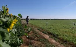 Konya Ovası’nda Su Kuyularının Derinliği Artıyor