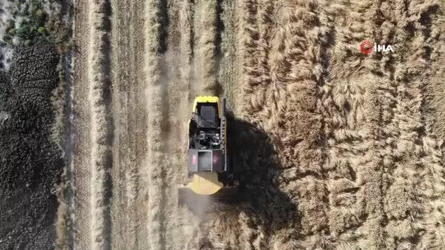 Konya Ovası'ndaki Buğday Hasadında 2 Milyon 400 Bin Rekolte 1 Konya Ovası’ndaki Buğday Hasadında 2 Milyon 400 Bin Rekolte