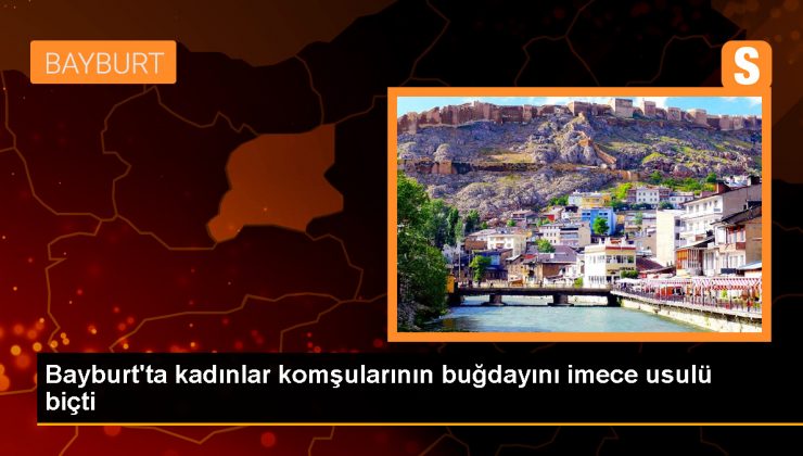 Köy Kadınları Tarlayı Orakla Biçerek Çiftçiye Yardım Etti
