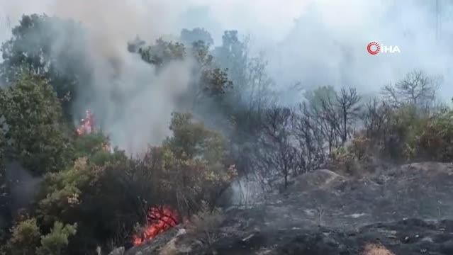 Lapseki’de orman yangını – Son Dakika