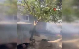 Malatya’da 150 hektarlık alanda orman yangını