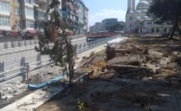 Maltepe Meydan Projesi kapsamında 17 çam ağacı söküldü