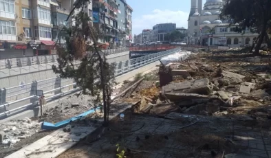 Maltepe Meydan Projesi kapsamında 17 çam ağacı söküldü