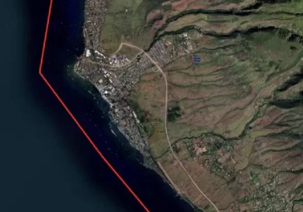 Maui Adası’ndaki Orman Yangınında Ölü Sayısı 111’e Yükseldi, Acil Durum Yönetimi Ajansı Başkanı İstifa Etti