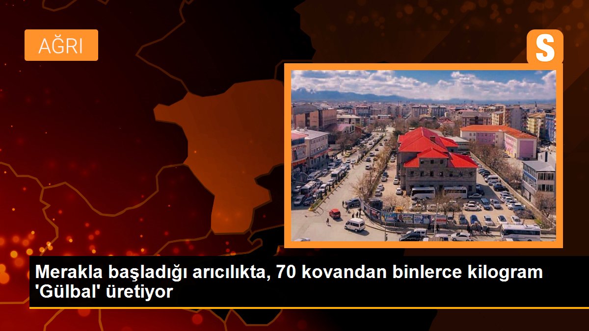 Merakla başladığı arıcılıkta, 70 kovandan binlerce kilogram 'Gülbal' üretiyor