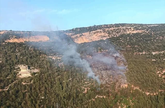 Mersin Erdemli’de çıkan orman yangını kontrol altına alındı