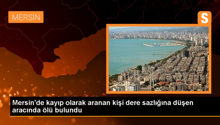 Mersin'de Kayıp Kişi Dere Sazlığında Ölü Bulundu 1 Mersin’de Kayıp Kişi Dere Sazlığında Ölü Bulundu