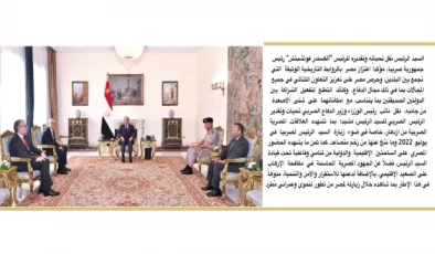 Mısır ve Sırbistan ikili ilişkiler ve askeri işbirliğini görüştü