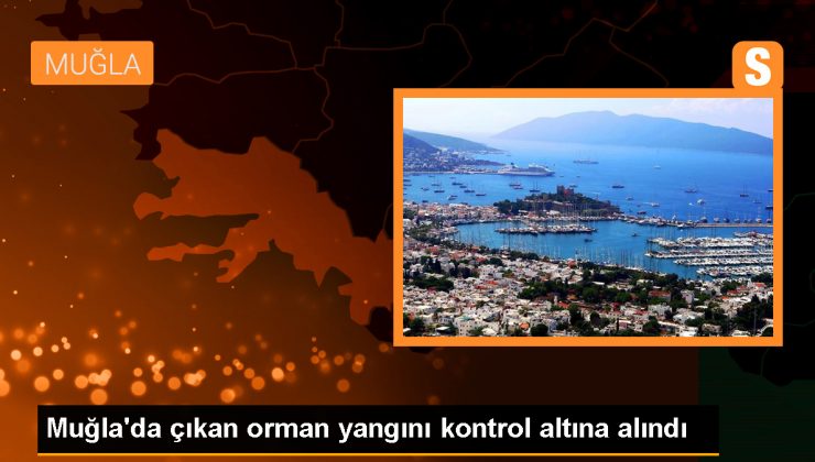Muğla’nın Milas ilçesinde çıkan orman yangını kontrol altına alındı