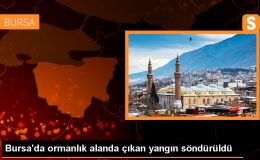 Mustafakemalpaşa’da Orman Yangını Kontrol Altına Alındı