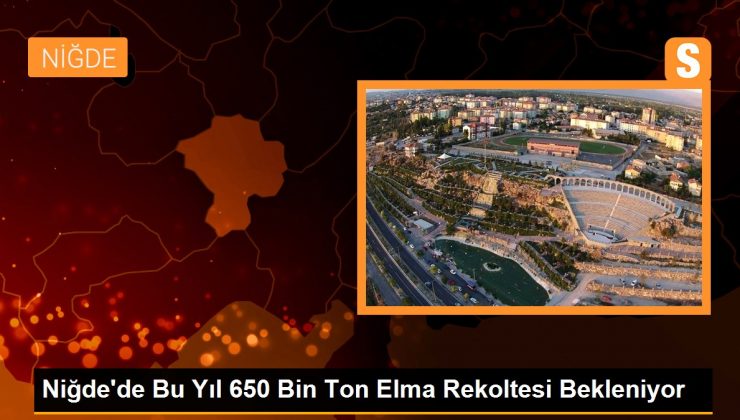 Niğde’de Bu Yıl 650 Bin Ton Elma Rekoltesi Bekleniyor